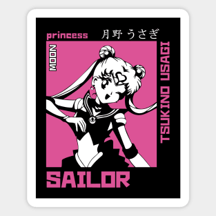 Sailor Moon Magnet